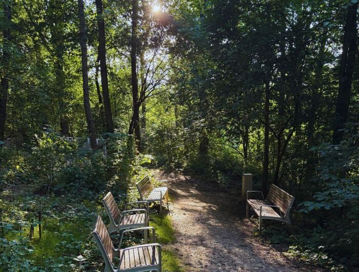 Ścieżka edukacyjna drugie życie drzew Kraków