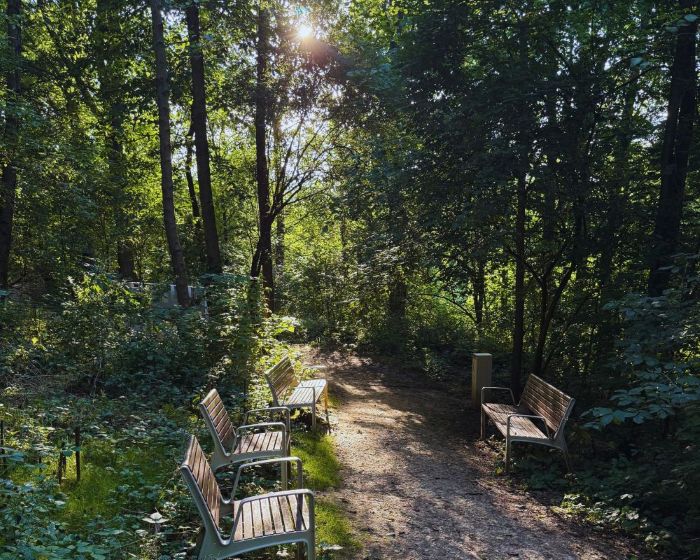 Ścieżka edukacyjna drugie życie drzew Kraków