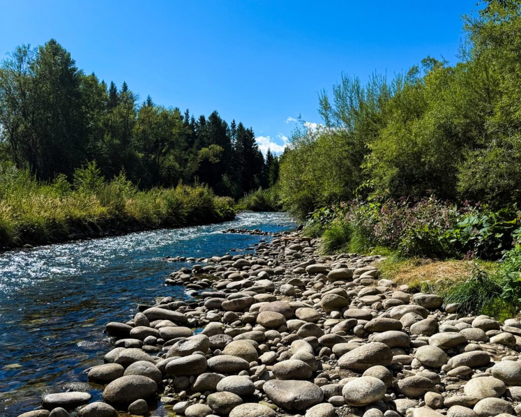 Przełom Białki pod Krempachami