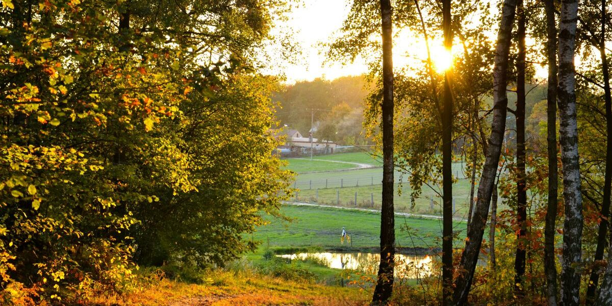 jesienny widok w Polsce w listopadzie – weekendowy wypad