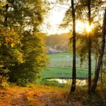 jesienny widok w Polsce w listopadzie – weekendowy wypad