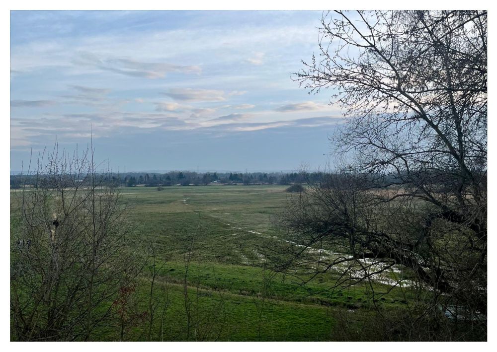 Łąki Nowohuckie w Krakowie – zielone przestrzenie i ścieżki