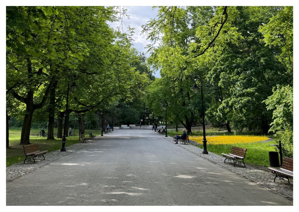 Park Bednarskiego Kraków – zielony azyl w centrum miasta