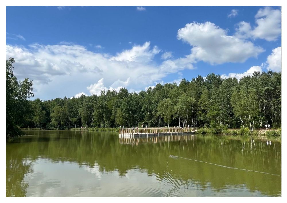 Park Tetmajera w Krakowie – alejki wśród drzew i ławki do odpoczynku.