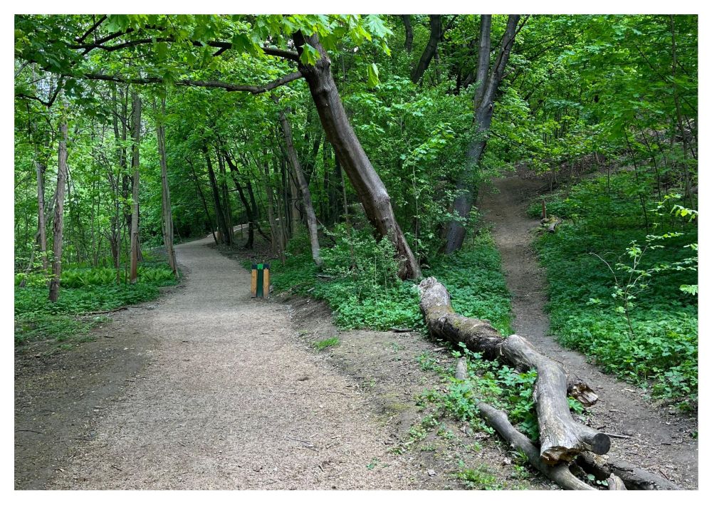 Spacer po ścieżce edukacyjnej „Drugie życie drzew” w Parku Reduta 