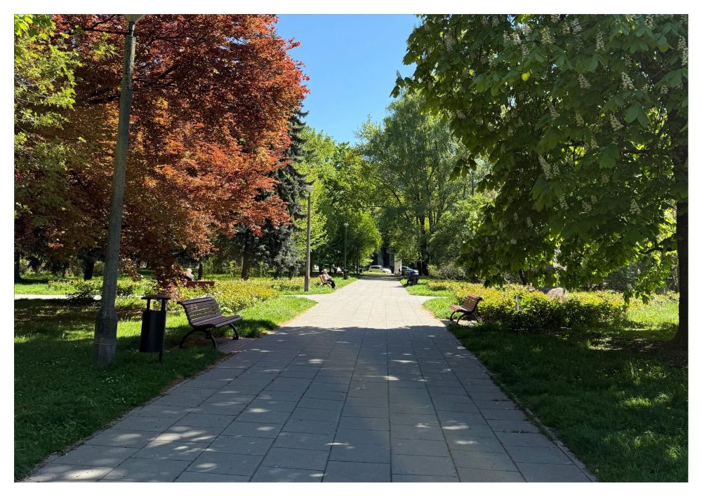 Zielone alejki Parku Ratuszowego w Nowej Hucie