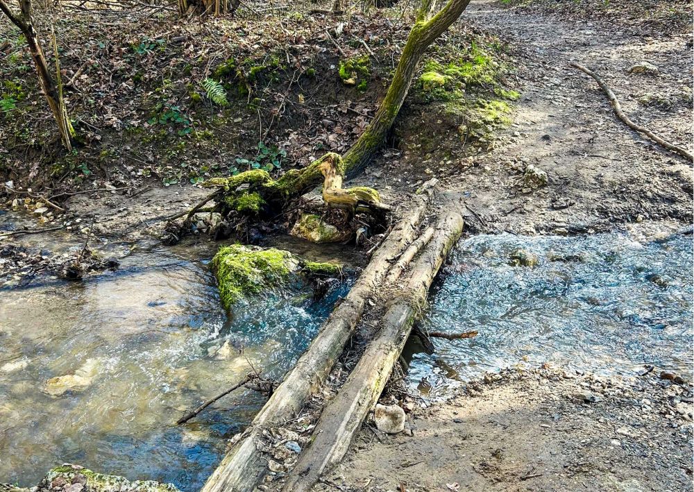 Potok z kładką z kłód w Dolinie Kluczwody
