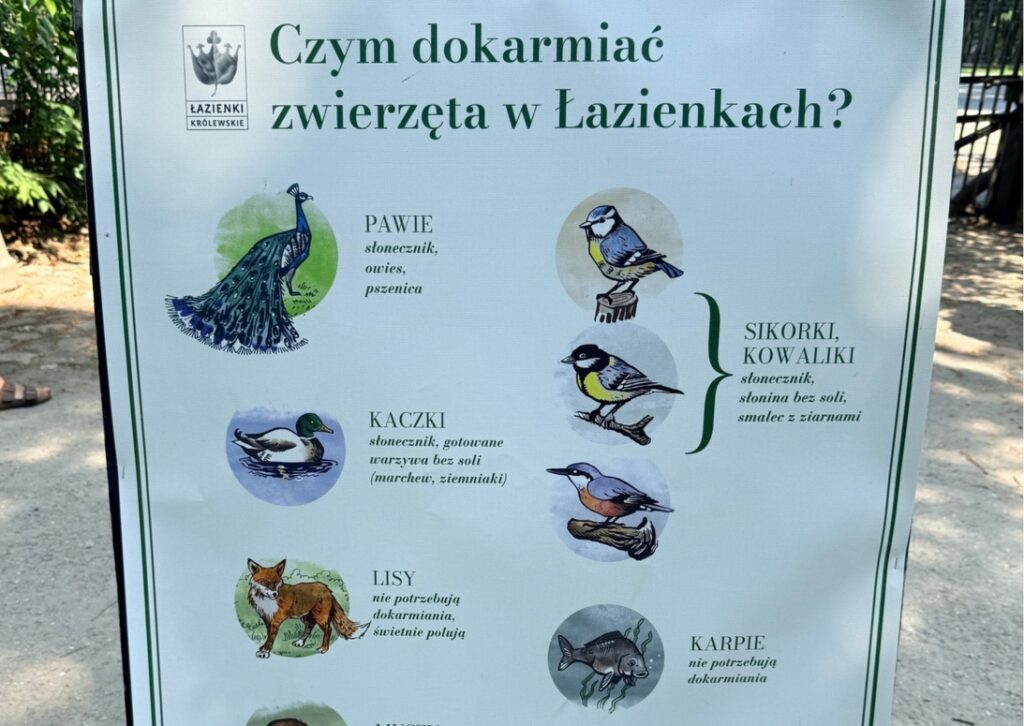 Tablica informacyjna czym karmić zwierzęta w Łazienkach Królewskich w Warszawie